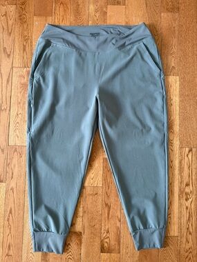 Patagonia NWT women’s happy hike studio pants size XL